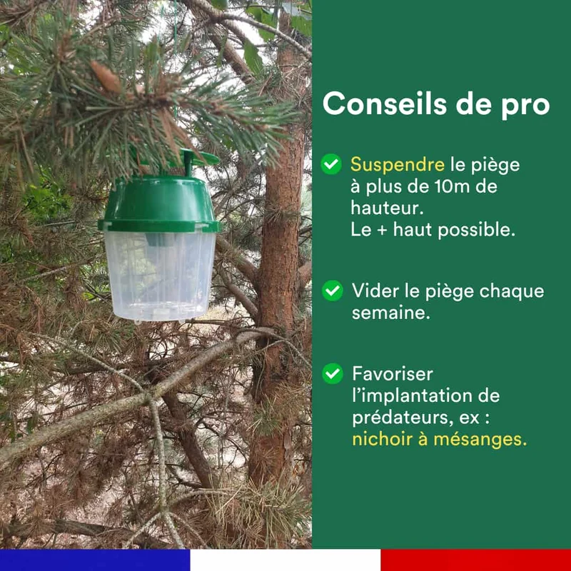 Kit de 2 seringues de phéromone contre la processionnaire