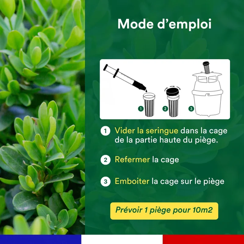 Kit de 3 seringues de phéromone contre la pyrale du buis