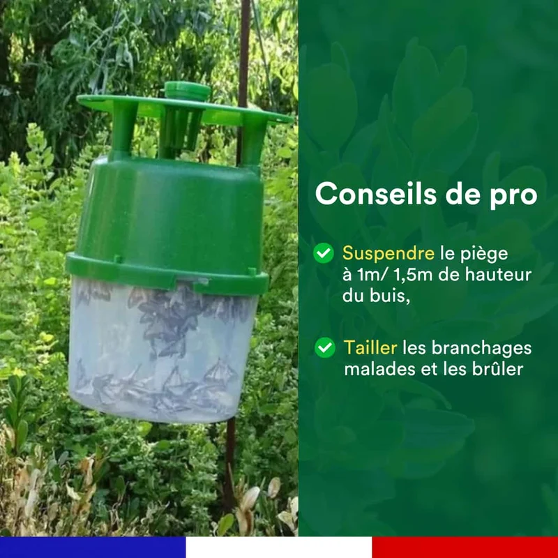 Kit de 3 seringues de phéromone contre la pyrale du buis