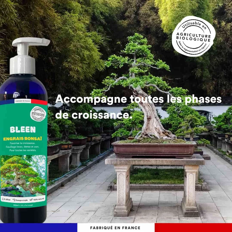 Engrais liquide bonsaïs