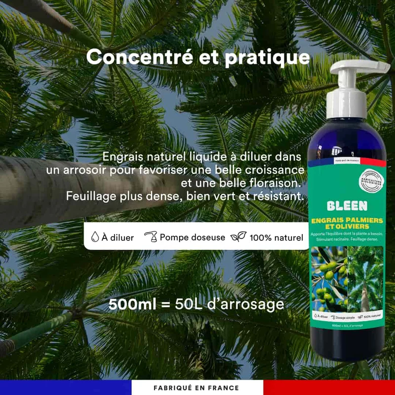 Engrais liquide oliviers et palmiers