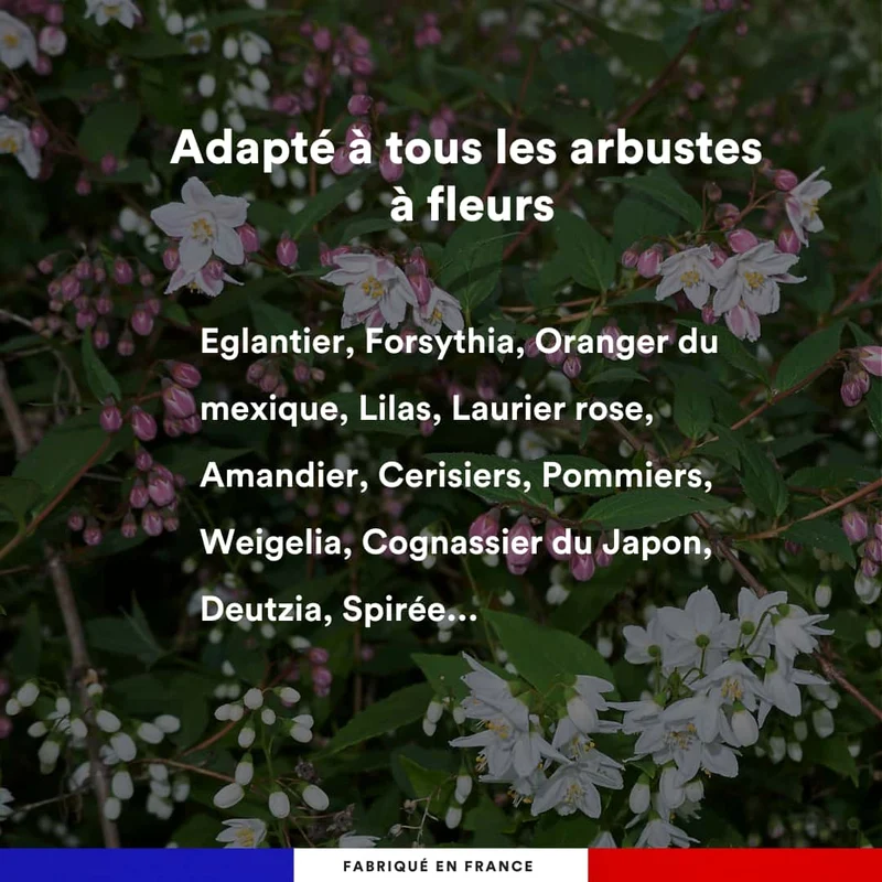 Engrais liquide rosiers et arbustes à fleurs