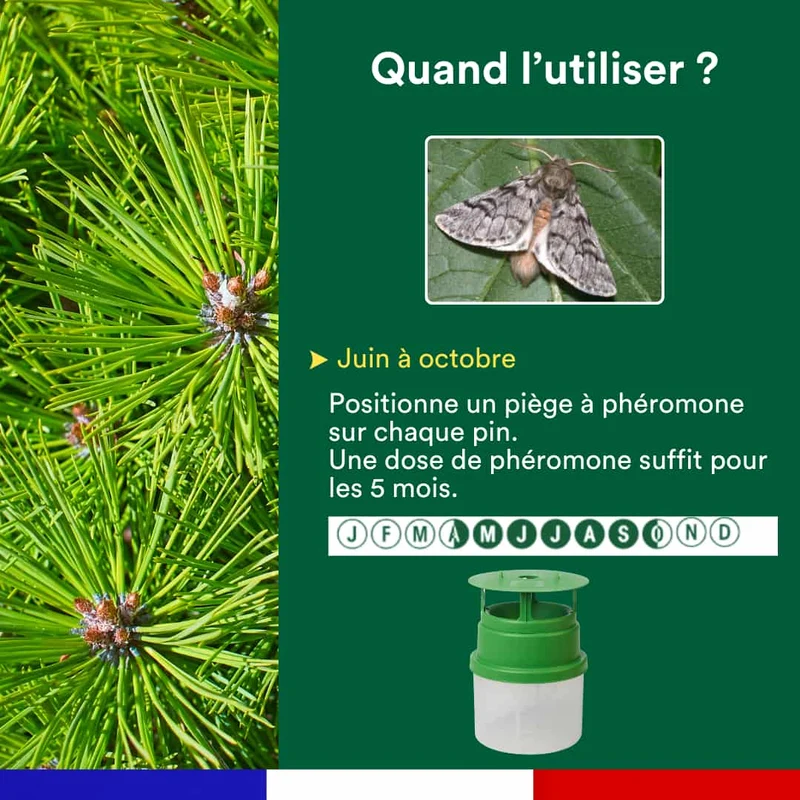 Piège à phéromone contre la processionnaire