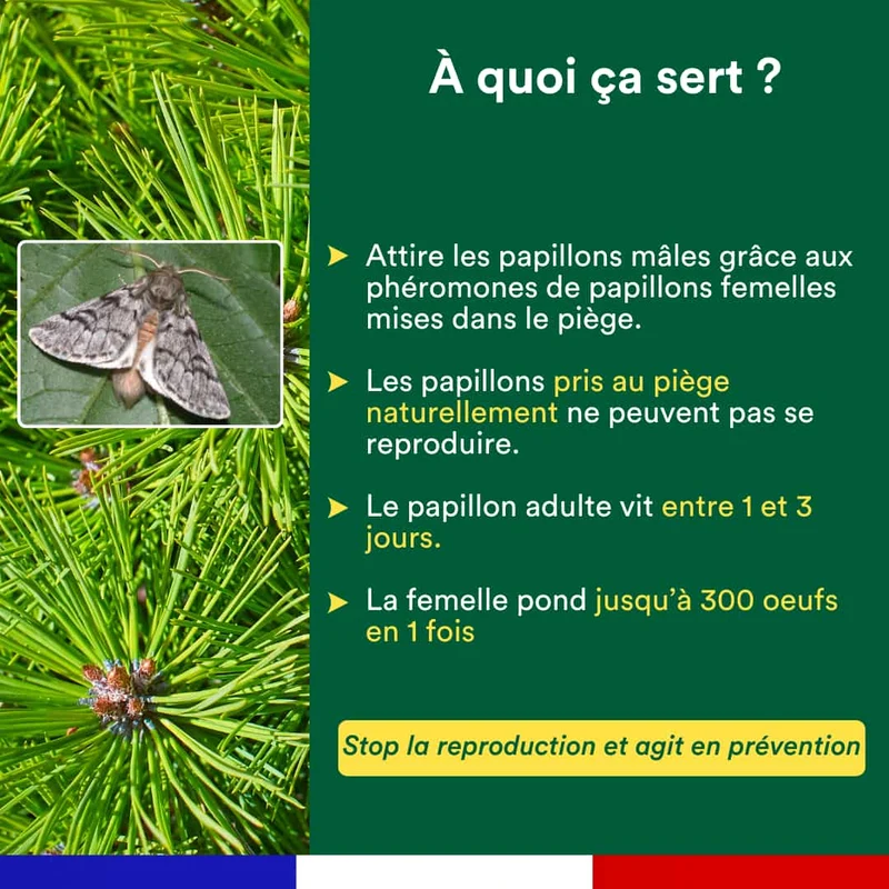 Piège à phéromone contre la processionnaire