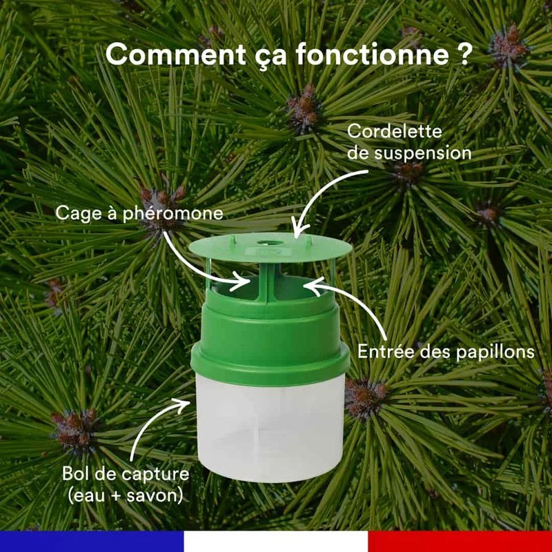 Piège à phéromone contre la processionnaire