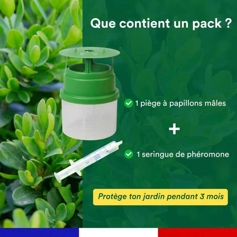 Piège à phéromone contre la pyrale du buis