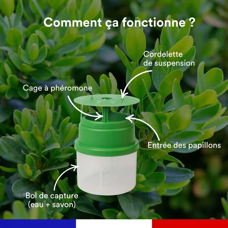 Piège à phéromone contre la pyrale du buis