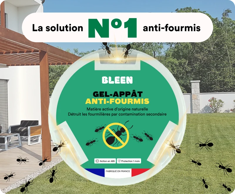 Gel appât anti-fourmis (OTP)