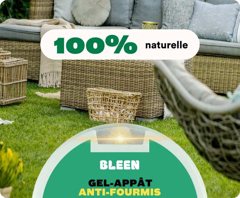 Gel appât anti-fourmis (OTP)