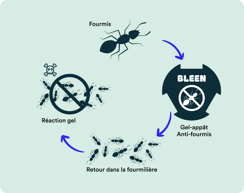 Gel appât anti-fourmis (OTP)
