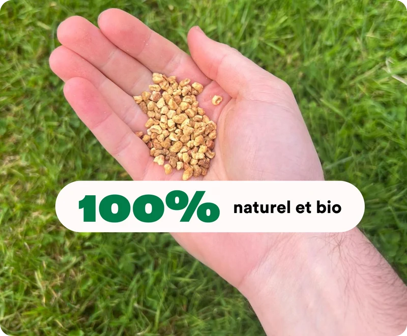 Anti-moustiques extérieur