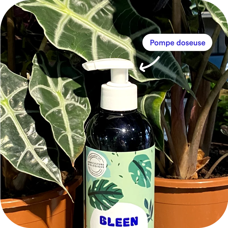 Green Lover (OTP)