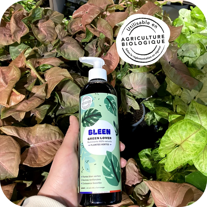 Green Lover (OTP)