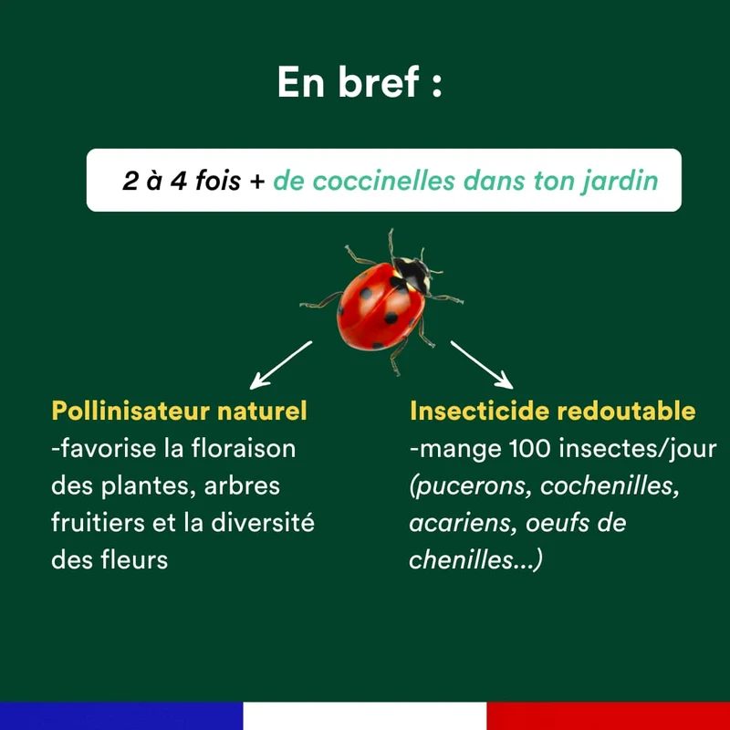 Anti-pucerons naturel - Kit annuel (3 flacons)