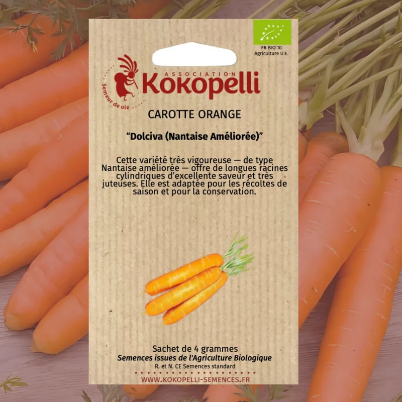 Carotte Orange Dolciva (Nantaise Améliorée)