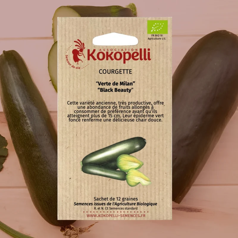 Courgette Verte de Milan / Black Beauty