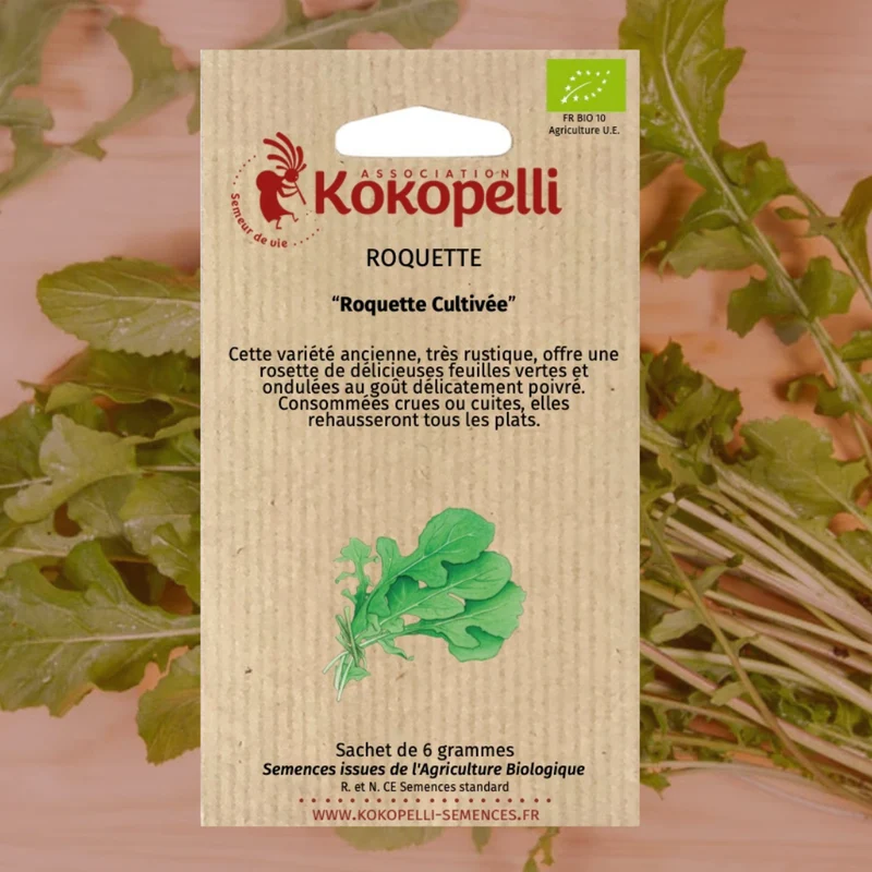 Roquette cultivée