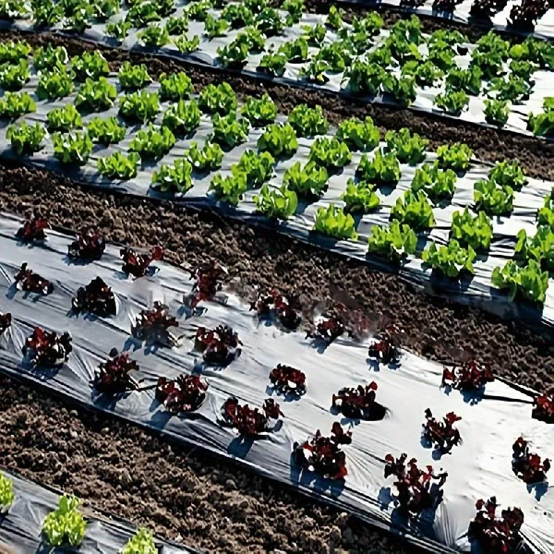 Tissu de Barrière de Paysage Perforé Robuste