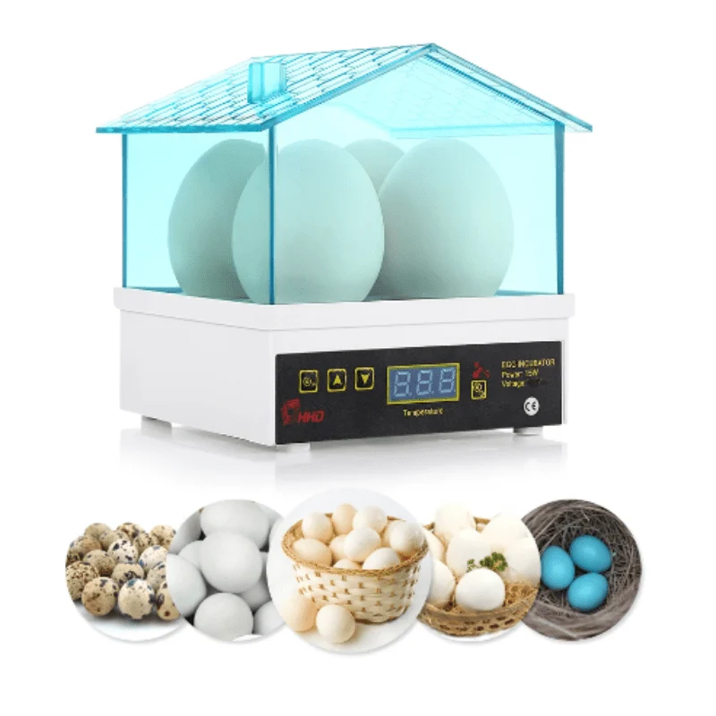 Mini Incubateur d'Œufs Automatique Performant