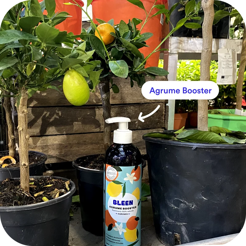 Kit de 4 engrais pour plantes