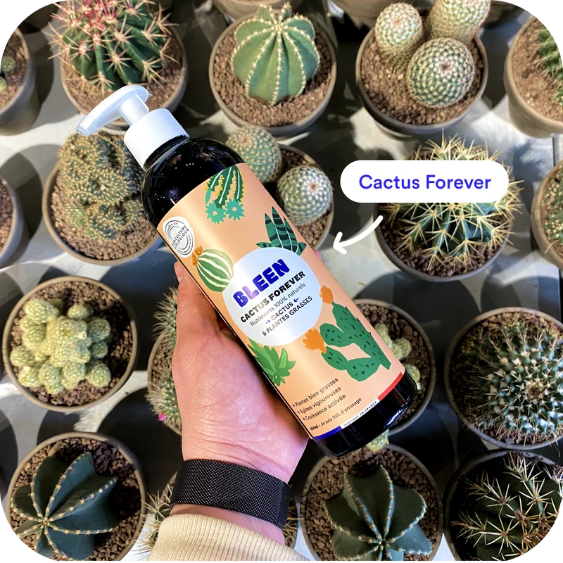 Kit de 4 engrais pour plantes