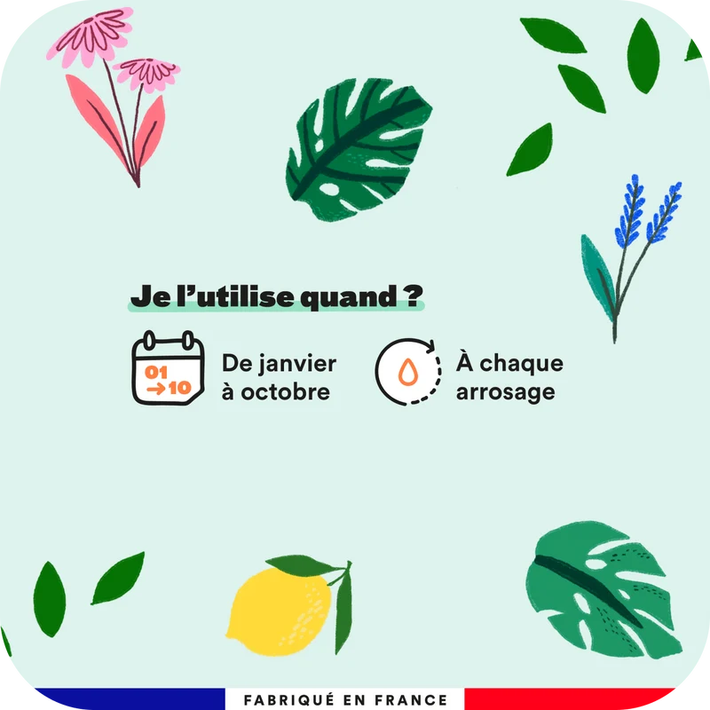 Engrais plantes (x3)