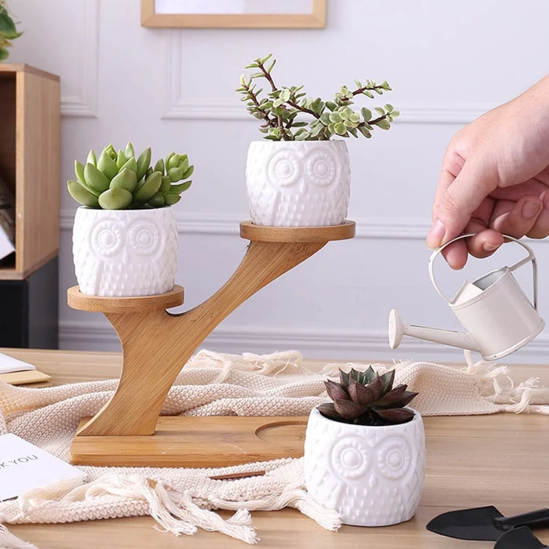 Porte Plante d'intérieur Design en Bambou