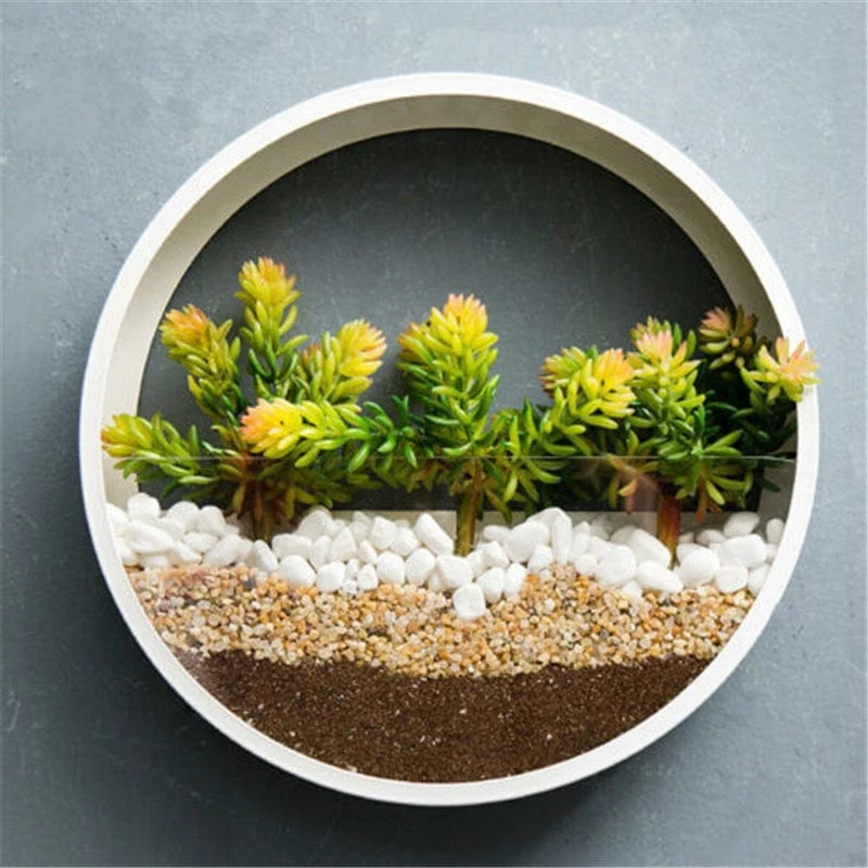 Jardinière Murale Intérieur Transparente Ronde