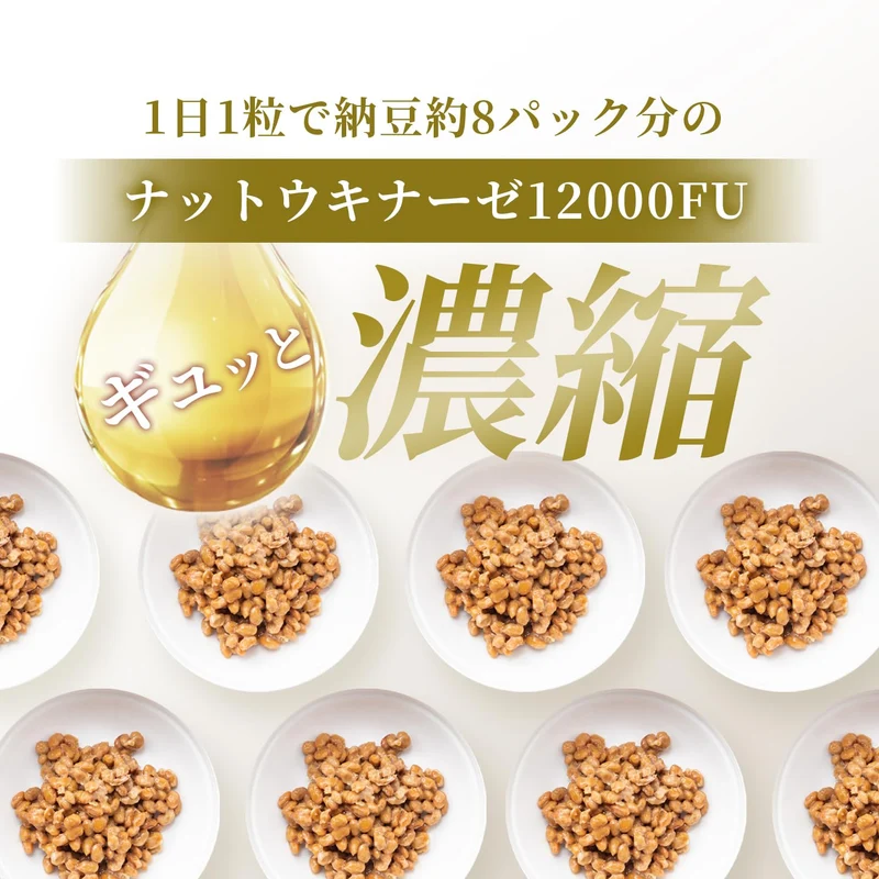 Herbase Nattokinase Supplement 12000FU/day 30 Days Acid-Resistant Capsules