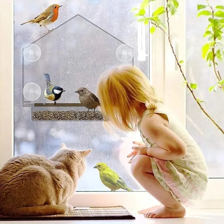 Mangeoire à Oiseaux Premium pour Fenêtres