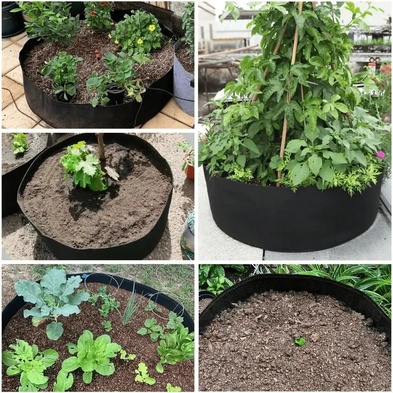 Sac de culture pour plantes domestiques