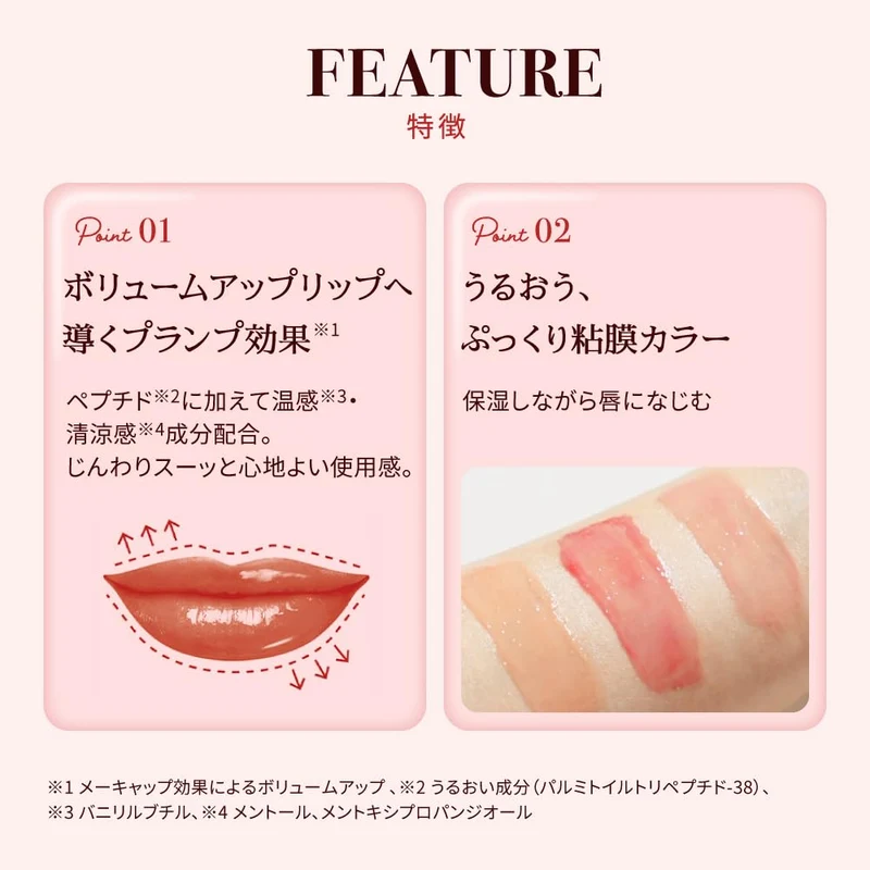 Rohto Mentholatum Lip Fondue Plum Red 3.2g
