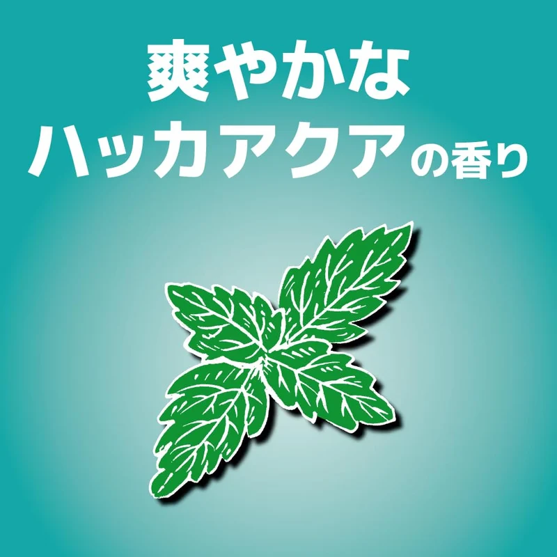 KINCHO Mushi Konazu Screen Door Repellent Mint Aqua 200 Days 2 Pack