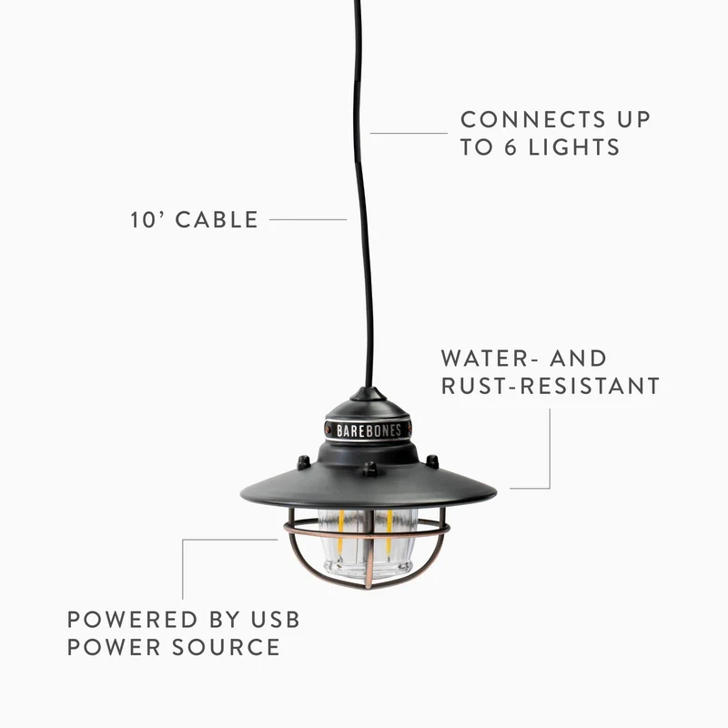 BAREBONES Edison Pendant Light LED Antique Bronze