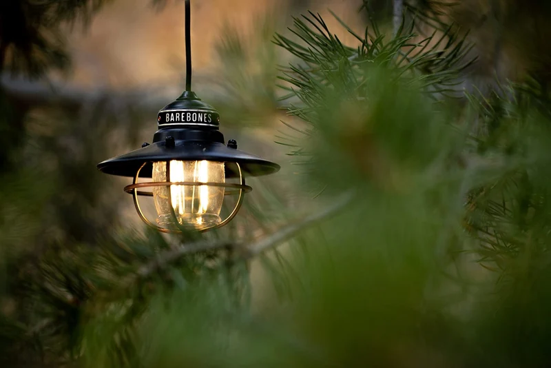 BAREBONES Edison Pendant Light LED Antique Bronze