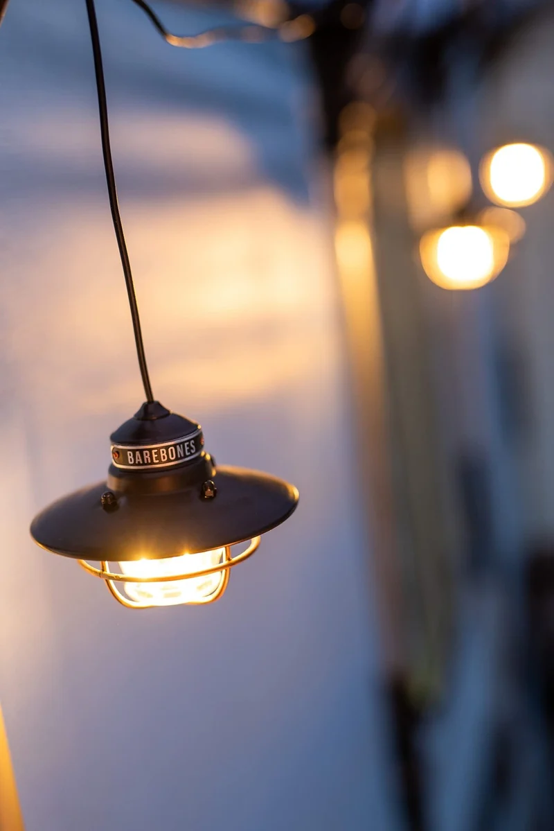 BAREBONES Edison Pendant Light LED Antique Bronze