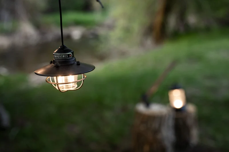 BAREBONES Edison Pendant Light LED Antique Bronze