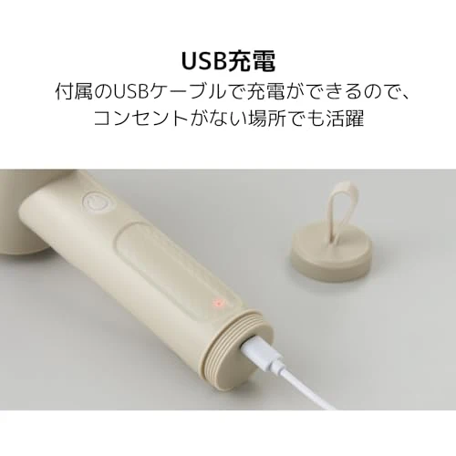 APIX Hapical Multiscrubber IPX7 waterproof Rechargeable AHR-505(IV)